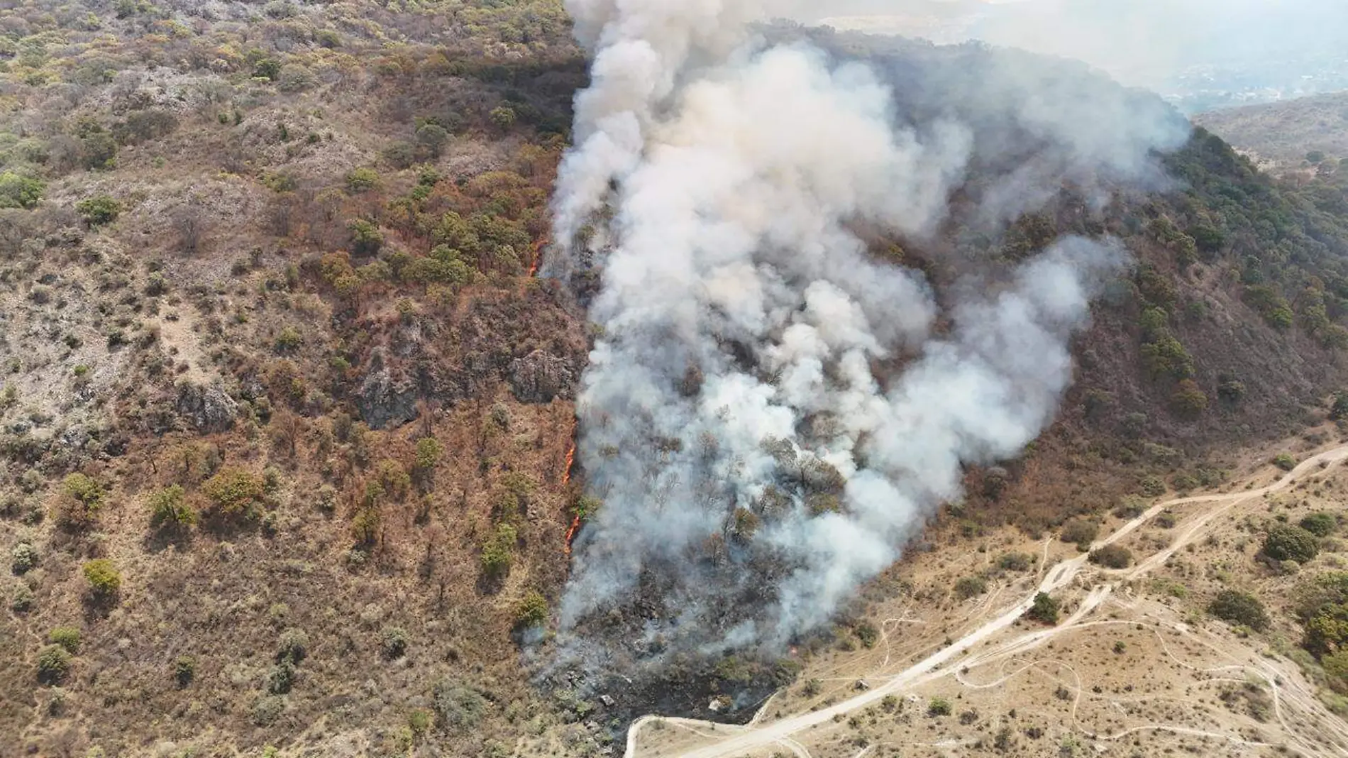 Incendio La Primavera